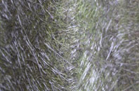 Blackwatertown fibreglass roof work